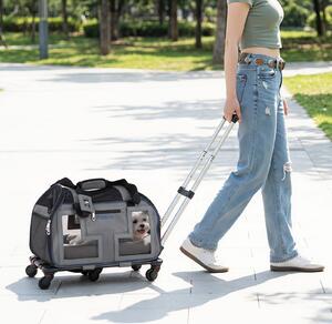 Costway Borsa da trasporto portatile per cani e gatti piccola taglia con cuscino cintura di sicurezza, Trasportino auto traspirante con ruote manico traccolla Blu
