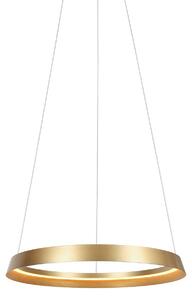 Steinhauer - lampada a sospensione - Ringlux - oro - metallo - Ø 60cm - LED - 3692GO