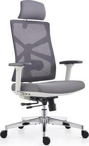 Sedia da ufficio ergonomica con schienale adattabile, sedia da scrivania con braccioli 4D, profondità di seduta regolabile, supporto lombare e poggiatesta 2D