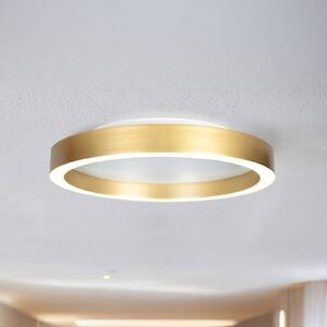 Steinhauer Plafoniera a LED Ringlux, dimmerabile, Ottone / Oro, Soggiorno / Sala da pranzo, Metallo, Moderno, Plafoniera LED