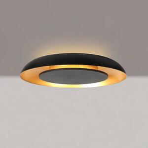 Steinhauer Plafoniera a LED Golden Veil, dimmerabile, Nero, Soggiorno / Sala da pranzo, Metallo, Moderno, Plafoniera LED