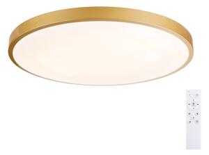 Brilagi - Lampada LED dimmerabile GLASS POOL DOUBLE LED/80W/230V 60 cm dorata + telecomando