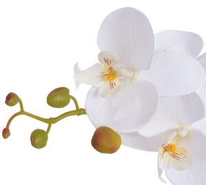 Orchidea Artificiale con Vaso75 cm Bianca