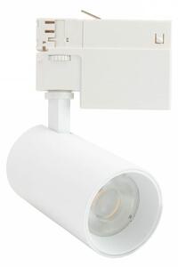 Faro LED 20W, Trifase, 60°, 120lm/W, CRI92, no Flickering - BRIDGELUX LED Colore Bianco Freddo 6.000K