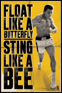 Posters, Stampe Muhammad Ali - float like a butterfly, (61 x 91.5 cm)