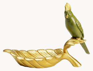 Ciotola decorativa Parrot Gurad