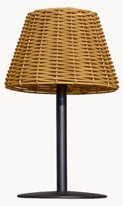 Lampada da tavolo solare portatile a LED con luce regolabile Amira