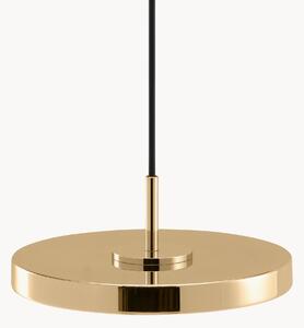 Lampada a sospensione piccola a LED Asteria Micro