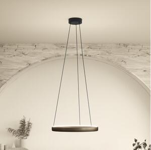 Eglo 390449 - Lampadario dimmerabile a sospensione con cavo TRABUCO 2xLED/25W/230V 2200-6500K marrone