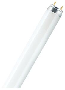 Tubo luminoso Fluorescente Fluo Osram bianco freddo luce fredda L 120 cm