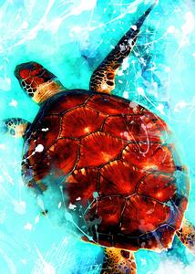 Illustrazione Tortoise animal art, Justyna Jaszke