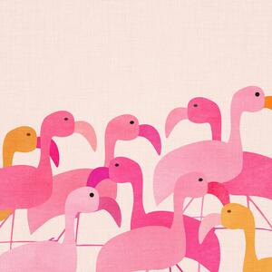 Illustrazione Flamingos, Kristian Gallagher
