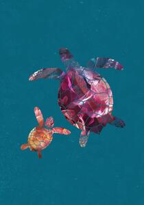 Illustrazione Colourful Turtles, Sarah Manovski