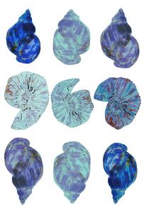 Illustrazione Blue Sea Shells, Poster cartissi