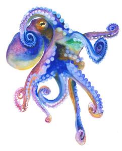Illustrazione Blue Marine Octopuss, Isabelle Brent
