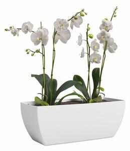 Fioriera in plastica riciclata 30 cm Siena – Artevasi