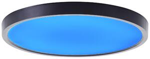 Brilliant G80650/76 Lampada a soffitto LED, serie Lotti, diametro 30 cm, plastica, nero/bianco, LED integrati
