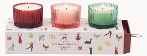 Set di 3 candele profumate Christmas (Winter Berry, Pink Peppermint & Balsam Fir)
