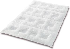 Piumino Sanders ClimaBalance Comfort 155x220, media