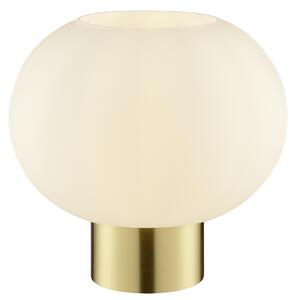 Lampada da tavolo Brilliant, modello Fanny, con una luce, finitura in ottone spazzolato/bianco, attacco E27, 20W, grado di protezione IP20, per uso interno