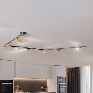 Sistema di binari Lumaro, faretti, a 7 luci, oro, Ø4cm,48V,dimmerabile Lumaro 48V Lindby, dimmerabile, Nero, Soggiorno / Sala da pranzo, Alluminio, Moderno