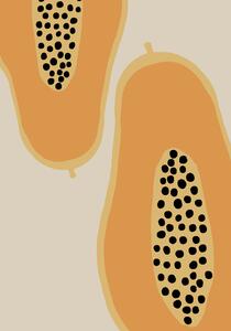 Illustrazione Papaya Fruit, Studio Collection