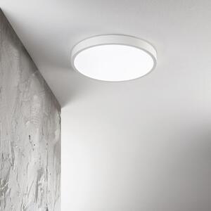 RAY pl, Plafoniera d30, Ideal Lux