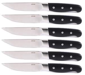 Set 6 Coltelli da Bistecca Lama Seghettata Manico in Legno Aconcagua