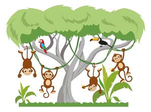 Adesivo murale Scimmie allegre sull'albero 70 x 52 cm