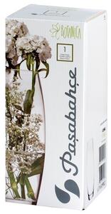 Vaso bombato Botanica in vetro cm 26