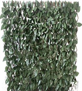 Arella Frangivista Estensibile 1x2m in Salice con Foglie di Lauro Garden Friend