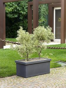 Vaso 80x40x35cm in Resina Tulli Cassetta Liscia Classic 80 Antracite