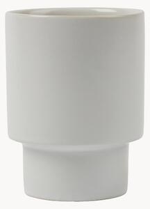 Tazza Nagano