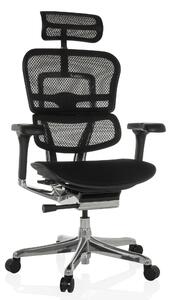 Sedia da ufficio Ergohuman con supporto lombare, schienale a rete, colore nero