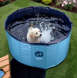 Piscina per cani 100 x 30 cm