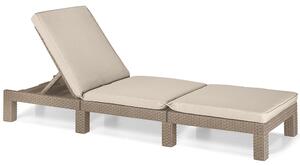 Lettino in Resina Antiurto Schienale Reclinabile Completo di Cuscino per Arredo Giardino Colore Cappuccino