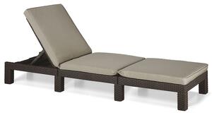 Lettino in Resina Antiurto Schienale Reclinabile Completo di Cuscino per Arredo Giardino Colore Brown