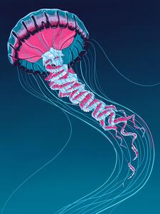 Illustrazione Lions Mane Jellyfish, Mark Harrison