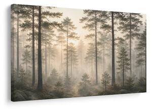Quadro su tela – Foresta nella foschia mattutina