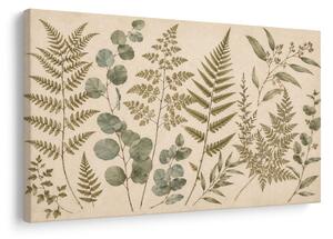 Quadro su tela – Delicata composizione botanica di felci