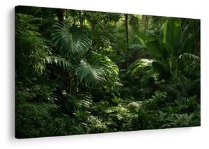 Quadro su tela – Giungla tropicale nel verde