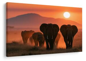 Quadro su tela – Elefanti al tramonto