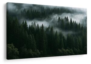 Quadro su tela – Foresta di conifere nella nebbia