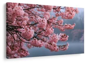 Quadro su tela – Fiori di ciliegio rosa nella nebbia