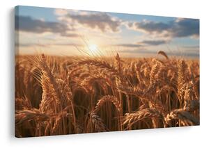 Quadro su tela – Grano dorato al tramonto