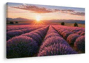 Quadro su tela – Sole sul campo di lavanda