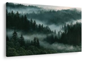 Quadro su tela – Foresta montana di conifere nella nebbia