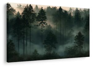 Quadro su tela – Foresta nebbiosa all’alba
