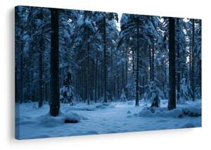 Quadro su tela – Silenzio invernale nel bosco