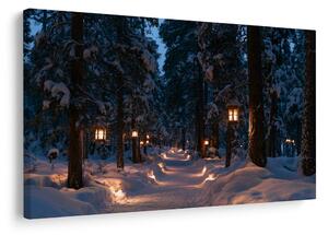 Quadro su tela – Sentiero nel bosco innevato con luci